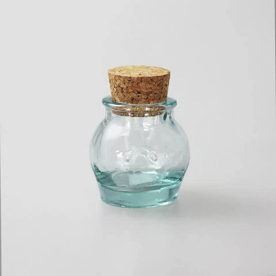 Handmade Glass Sealed Jar Cork Storage Jar
